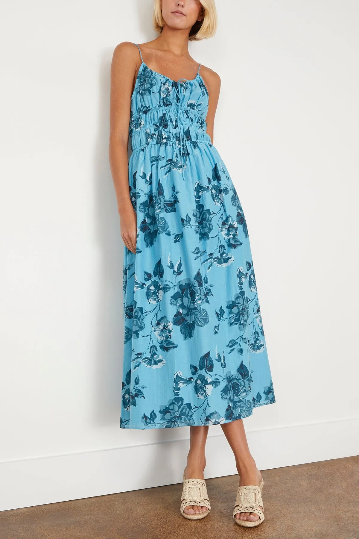 Carinna Midi Dress in Cierra Floral