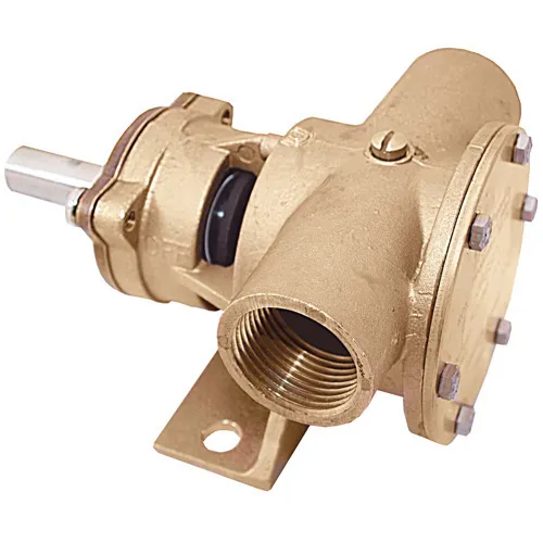 Pump Bronze Ped. 1” BSP