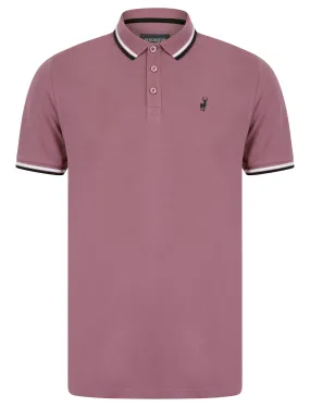 Underwood 2 Cotton Pique Polo Shirt in Grapeade - Kensington Eastside